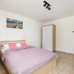 Salwatorianska Mountain View By Renters *