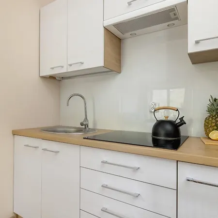 Apartment Salwatorianska Mountain View By Renters Zakopane
